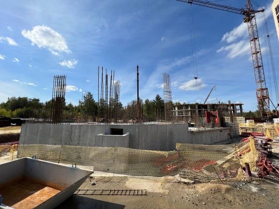 ЖК «Дежнёв», ул. им. генерал-майора А.Н. Рожкина, 12 — 3 кв. 2022 г.