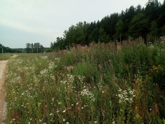 ЖК «Борисоглебское», ул. Генерала Донскова, 25, к. 6 — 3 кв. 2020 г.