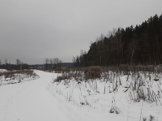 ЖК «Борисоглебское», ул. Генерала Донскова, 29, к. 4 — 4 кв. 2020 г.