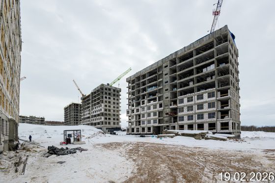 ЖК Новинки — 1 кв. 2026 г.