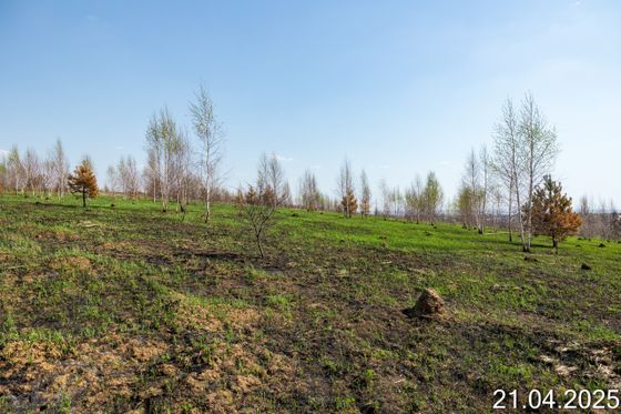 GloraX Новинки (Глоракс Новинки) — 2 кв. 2025 г.
