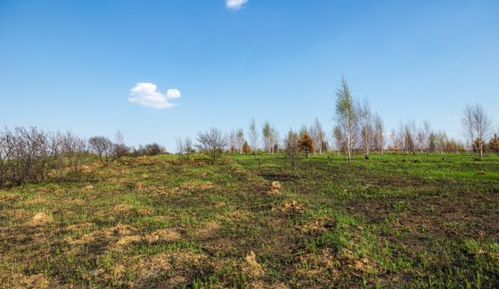 GloraX Новинки (Глоракс Новинки) — 2 кв. 2025 г.