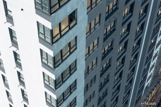 Дом Нойферта — 4 кв. 2025 г.