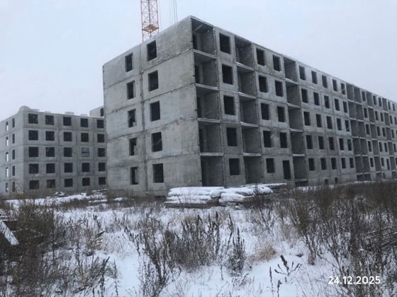 ЖК «Новин в Нижнем Ломове» — 4 кв. 2025 г.