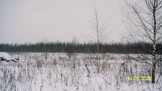 ЖК «Квартал Лаголово» — 1 кв. 2026 г.