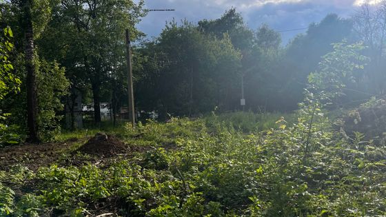 ЖК «Янтарь» — 2 кв. 2025 г.