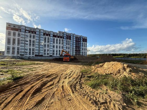 Квартал «Расцветай в Янино» — 3 кв. 2025 г.