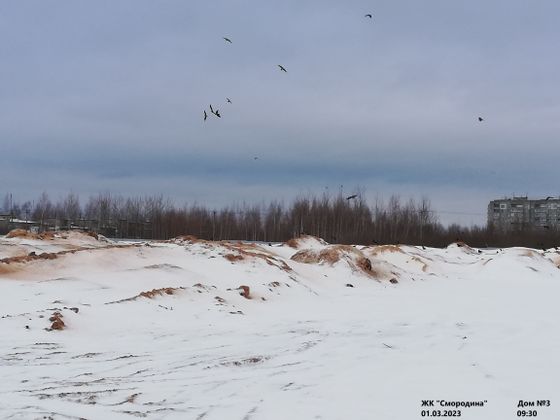 ЖК «Смородина», корпус 3 — 1 кв. 2023 г.