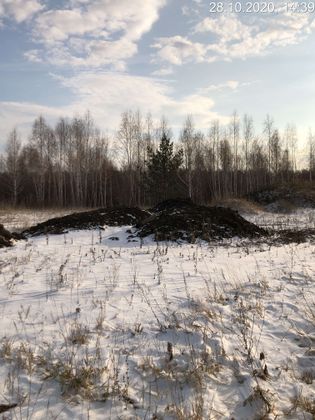 Экорайон «Вишневая горка», ул. Олимпийская, 4 — 4 кв. 2020 г.