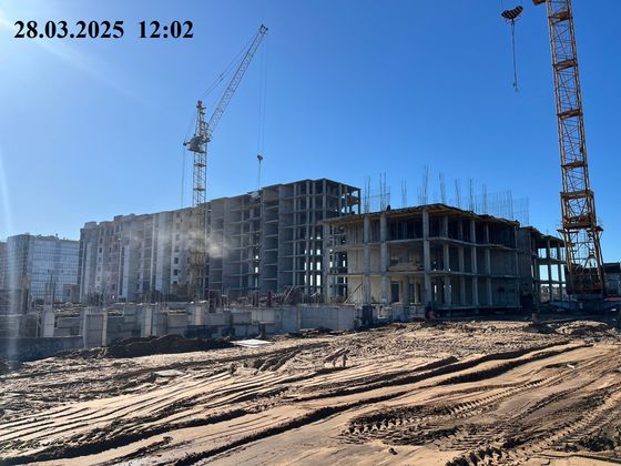 ЖК «Родина» — 1 кв. 2025 г.