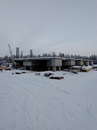 ЖК «Династия Парк» — 4 кв. 2025 г.