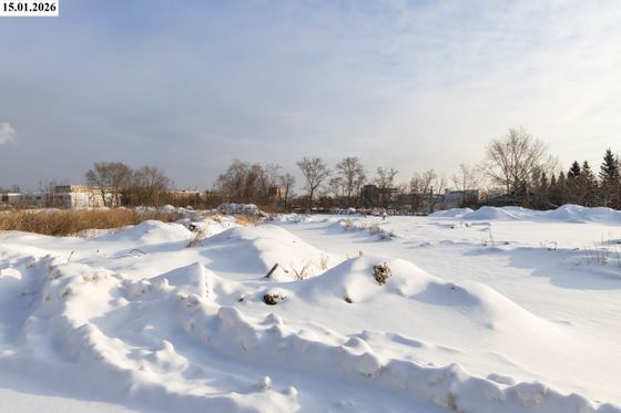 ЖК «Сибирский сад» — 1 кв. 2026 г.