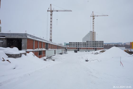 Микрорайон «За ручьем» — 4 кв. 2024 г.