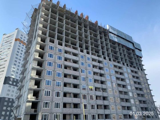 ЖК «Король Лев» — 1 кв. 2025 г.