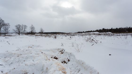 ЖК «Государев дом», ул. Сухановская, 18 — 1 кв. 2019 г.