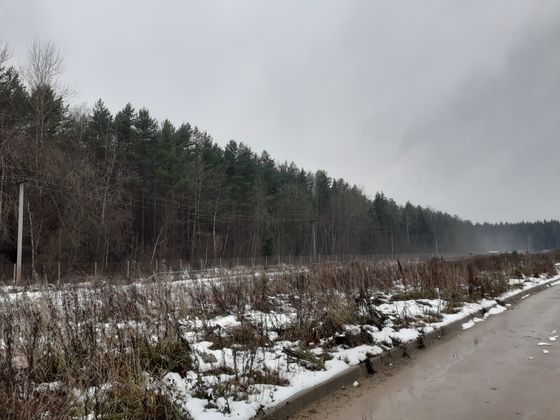 ЖК «Борисоглебское», ул. Генерала Донскова, 25, к. 8 — 4 кв. 2020 г.