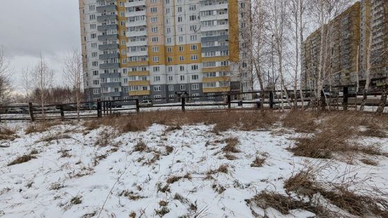 ЖК «Расцветай в Солнечном» — 4 кв. 2025 г.