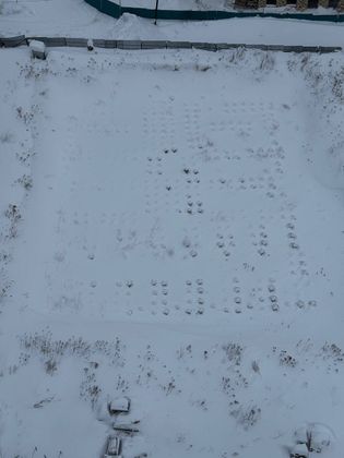 ЖК «Неон Сити» — 1 кв. 2026 г.