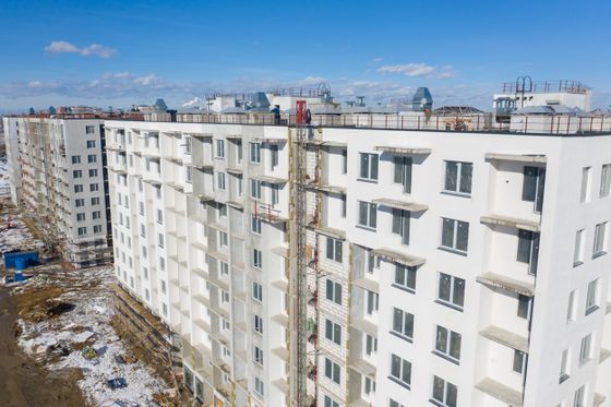 UP-квартал «Новый Московский» (АП-квартал «Новый Московский») — 1 кв. 2025 г.