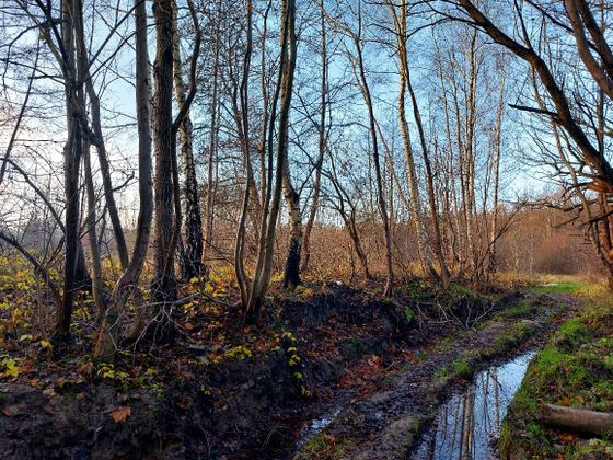 ЖК «Отрада Резорт» — 4 кв. 2025 г.