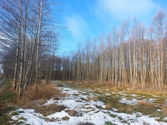 ЖК «Отрада Резорт» — 1 кв. 2026 г.