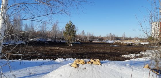 Экорайон «Вишневая горка», ул. им. Генерала Костицына, 3 — 1 кв. 2020 г.