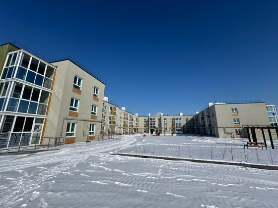 Поселок «Молодежный» — 1 кв. 2025 г.