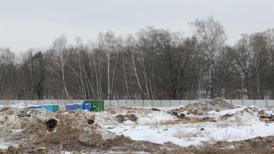 Жилой район «Скандинавия», Скандинавский бул., 17 — 1 кв. 2019 г.