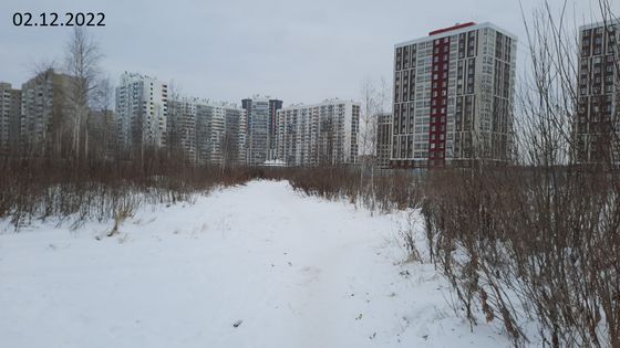 Дом «Азбука», ул. Иосифа Каролинского, 12/1 — 4 кв. 2022 г.