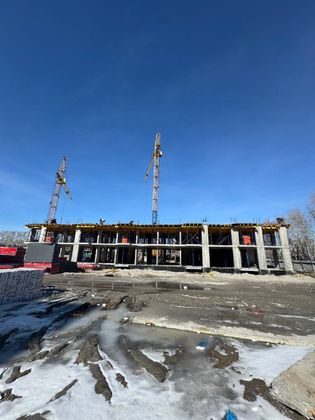 Квартал «Зеленые аллеи» — 1 кв. 2025 г.