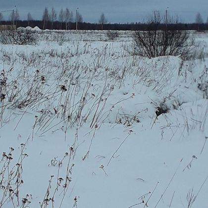 Коттеджный поселок «Первый», корпус 87 — 4 кв. 2021 г.