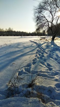 ЖК «Бавария», 7-й мкр., 40 — 4 кв. 2019 г.