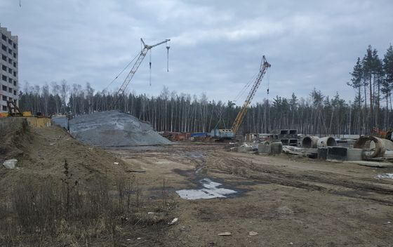 Микрорайон «Боровое», ул. Федора Тютчева, 93/1 — 4 кв. 2019 г.