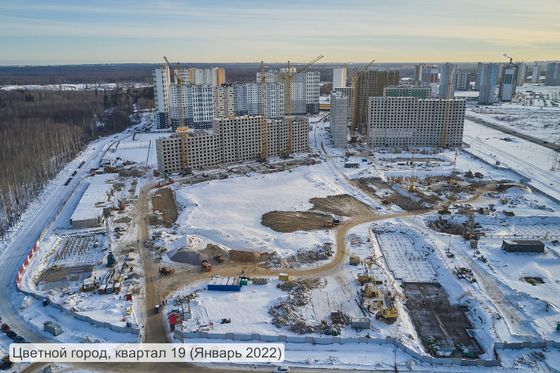 ЖК «Цветной город», Муринская дорога, 31, к. 1 — 1 кв. 2022 г.