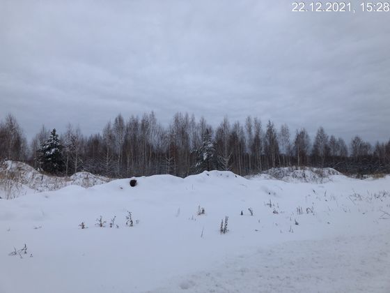 Экорайон «Вишневая горка», ул. Олимпийская, 8 — 4 кв. 2021 г.