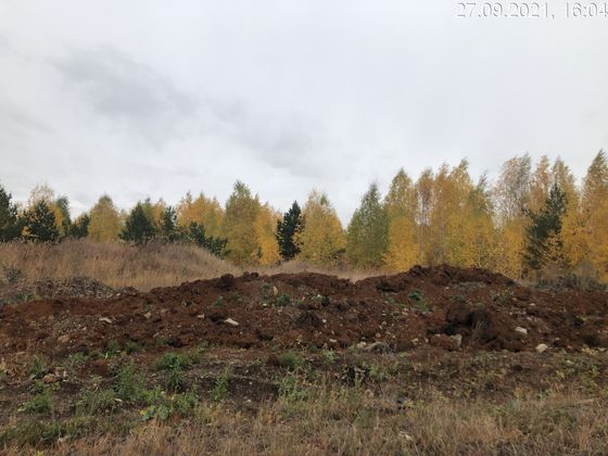 Экорайон «Вишневая горка», ул. Олимпийская, 8 — 3 кв. 2021 г.