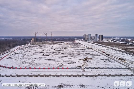 ЖК «Цветной город», Муринская дорога, 29 — 4 кв. 2018 г.