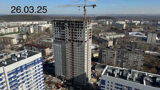 Квартал «Черника» — 1 кв. 2025 г.