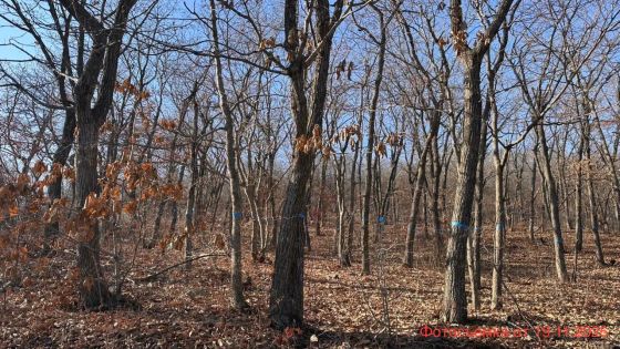 ЖК «ВИЗИОНЕР» — 4 кв. 2025 г.