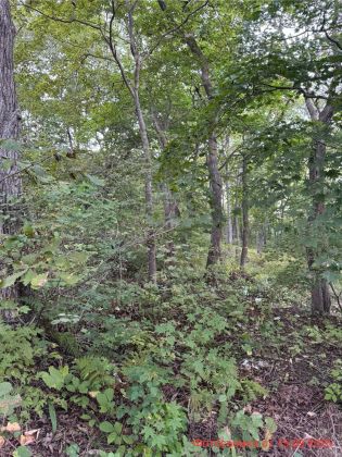 ЖК «ВИЗИОНЕР» — 3 кв. 2025 г.