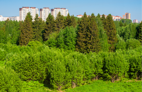 ЖК «Город-парк» — 2 кв. 2026 г.