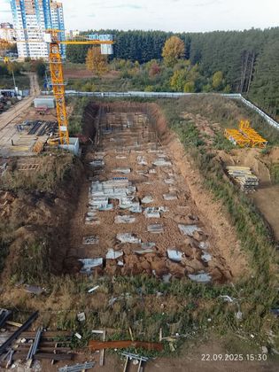 ЖК «Норвежский лес» — 3 кв. 2025 г.