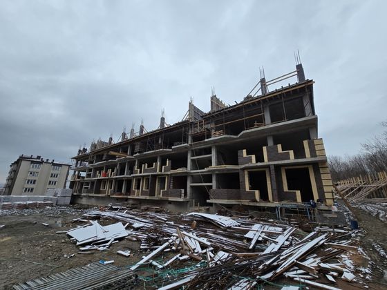 ЖК «Кленовая роща» — 1 кв. 2025 г.