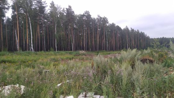 ЖК «Лесная сказка», ул. Счастливая, 3 — 3 кв. 2022 г.