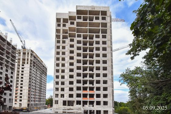 ЖК «Лесная симфония» — 3 кв. 2025 г.