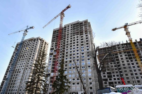 ЖК «Лесная симфония» — 1 кв. 2026 г.