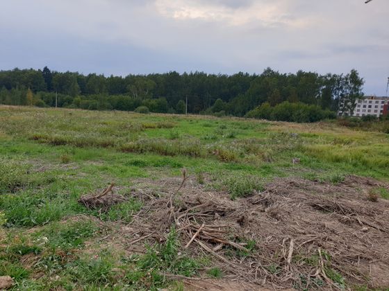 Жилой район «Саларьево парк», ул. Красулинская, 13 — 3 кв. 2019 г.