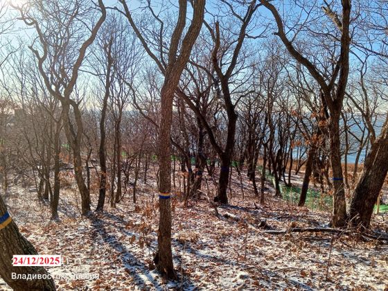 ЖК «БРОНЗА» — 4 кв. 2025 г.