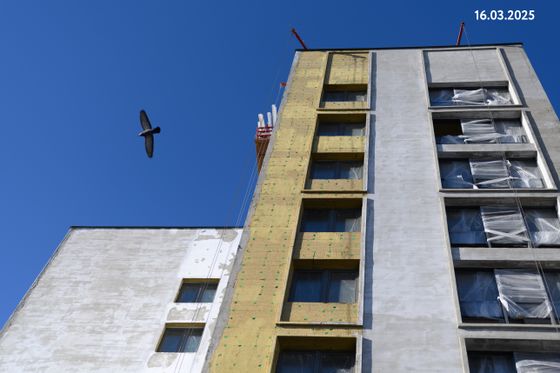 Дом Дружба на Металлистов — 1 кв. 2025 г.