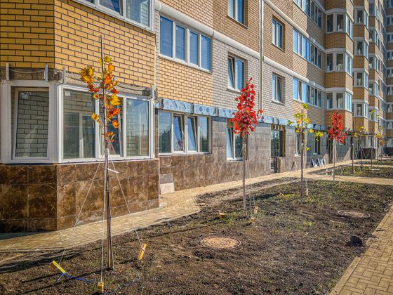 ЖК «Светлоград», ул. Красных Партизан, 1/4, к. 16 — 4 кв. 2022 г.